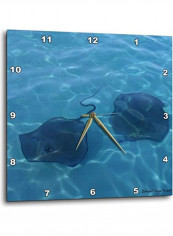 DPP 34558 1 Cayman Island Stingrays Wall Clock Multicolour 10x10inch