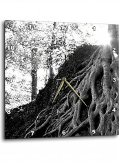 Old Growth Forest Wall Clock Multicolour 10x10inch