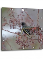Bird Printed Wall Clock Multicolour 10x10x0.1inch