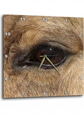 Buckskin Eye Printed Wall Clock Multicolour 10 x 10inch