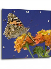 Decorative Printed Wall Clock Multicolour 10x10inch