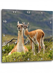 Deer Printed Analog Wall Clock Multicolour 10x10x0.1inch