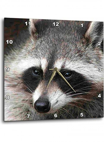 Raccoon Wall Clock Multicolour 10x10inch