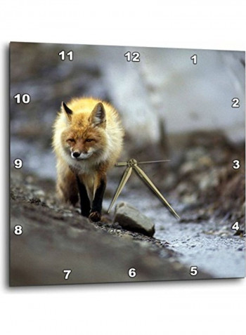 DPP 87612 1 Alaska Denali NP Thorofare Pass Arctic Fox Wall Clock Multicolour 10x10inch