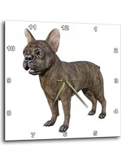 Dog Printed Analog Wall Clock Multicolour 10x10x0.1inch
