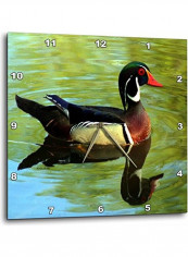 Duck Reflections At The Pond Wall Clock Multicolour 10x10inch