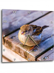Decorative Printed Wall Clock Multicolour 10x10inch