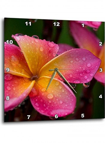 Decorative Printed Wall Clock Multicolour 10x10inch