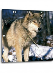 North American Wolf Printed Wall Clock Multicolour 10x10x0.1inch