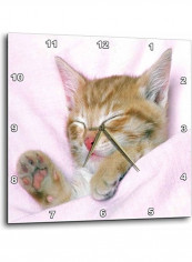Sweetest Little Kitten All Snuggled Up Printed Wall Clock Multicolour 10 x 10inch