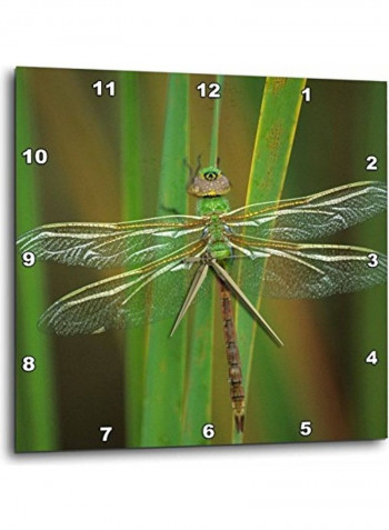 Dragonfly Insect Printed Analog Wall Clock Green/Brown 10x10x0.1inch