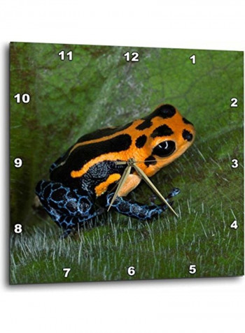 Frog Print Wall Clock Multicolour 10 x 10inch