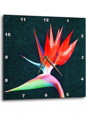 Red Fire Bird Of Paradise Wall Clock Multicolour 10x10inch