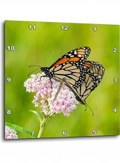 Butterfly Printed Analog Wall Clock Multicolour 10x10x0.1inch