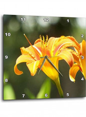 Flower Wall Clock Multicolour 10x10inch