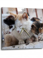 Kitten Themed Wall Clock Multicolour