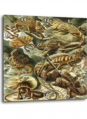 DPP 62112 1 Sketch Of Lizards By Famous Biologist Wall Clock Multicolour 10x10inch