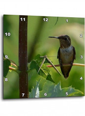 Beautiful Hummingbird Perching On A Branch Wall Clock Multicolour 10x10inch