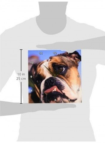 English Bulldog Wall Clock Multicolour 10x10inch