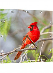 Northern Cardinal Wall Clock Multicolour 10 X 10inch