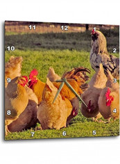 Chicken Themed Wall Clock Multicolour