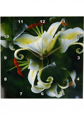 Decorative Printed Wall Clock Multicolour 10x10inch