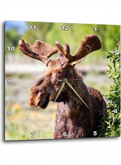 Moose Printed Analog Wall Clock Multicolour 10x10x0.1inch