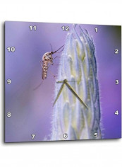 Decorative Printed Wall Clock Multicolour 10x10inch