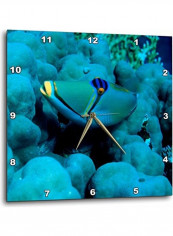 DPP 72007 1 Arabian Picasso Triggerfish Panorama Reef Red Sea Wall Clock Multicolour 10x10inch