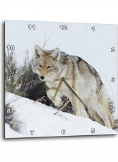 Wolf Printed Analog Wall Clock Multicolour 10x10x0.1inch
