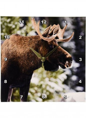 Bull Moose Wall Clock Multicolour 10 X 10inch