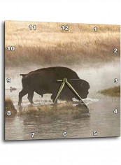 Buffalo Printed Analog Wall Clock Multicolour 10x10x0.1inch