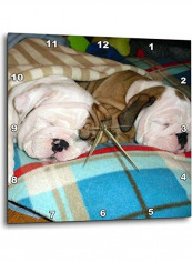 Bulldog Power Nap Printed Analog Wall Clock Multicolour 10x10x0.1inch