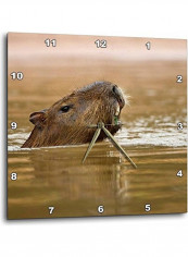 Capybara Wildlife Wall Clock Multicolour 10x10inch