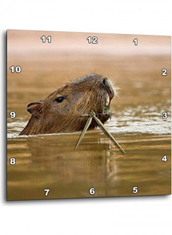 Capybara Wildlife Wall Clock Multicolour 10x10inch