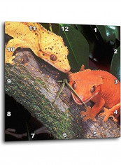 Crested Geckos Printed Wall Clock Multicolour 10x10x0.1inch