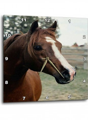Horse Printed Analog Wall Clock Multicolour 10x10x0.1inch