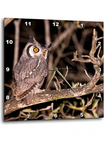Spotted Owl Wall Clock Multicolour 10x10inch