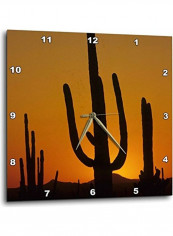 Giant Saguaro Cactus Printed Wall Clock Multicolour 10x10x0.1inch