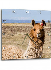 Peru Llama Posing Near Puno Printed Wall Clock Multicolour 10x10x0.1inch