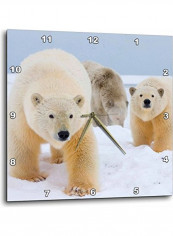 Polar Bear Printed Wall Clock Multicolour 10x10x0.1inch