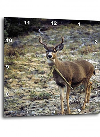 DPP 96462 1 Washington Tailed Deer Wall Clock Multicolour 10x10inch
