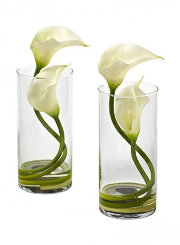 2-Piece Artificial Lily With Cylinder White/Green/Clear