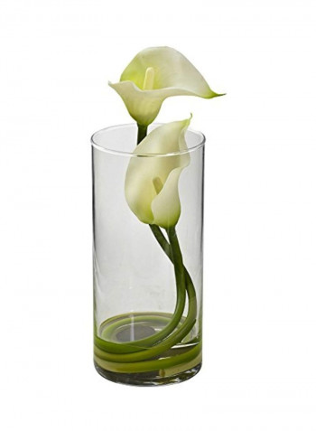 2-Piece Artificial Lily With Cylinder White/Green/Clear