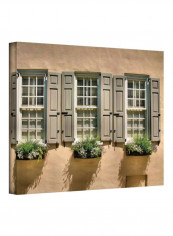 Windows of Old Charleston Canvas Artwork Brown/Green/Beige 14x18inch