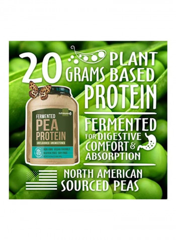 Fermented Pea Protein Powder