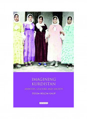 Imagining Kurdistan: Identity, Culture And Society Hardcover