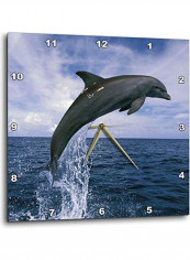 Dolphin Printed Analog Wall Clock Multicolour 10x10x0.1inch