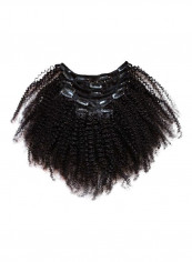 Afro Curly Clip-in Top Closure Wig Black 14 inch Black 14inch