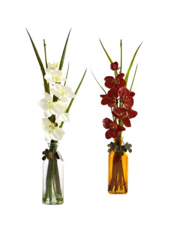 Pack Of 2 Phalaenopsis Orchid With Glass Jar Red/White/Green